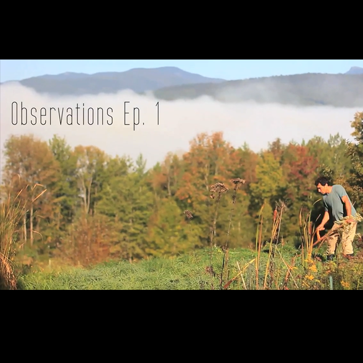 Northeast Permaculture Film Project: Observations Ep.1 - Ben Falk